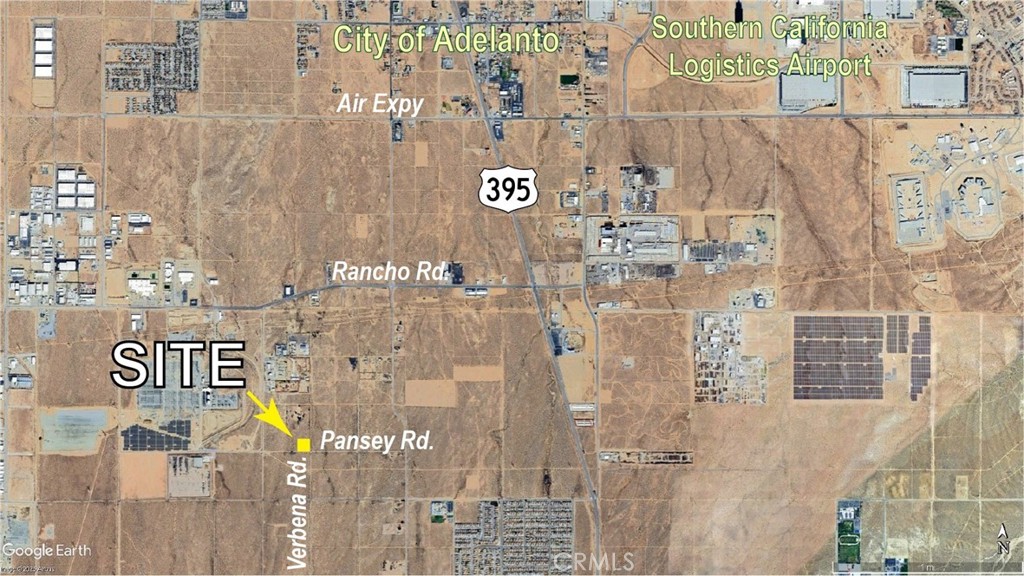 0 Pansy & Verbena 2acres Road