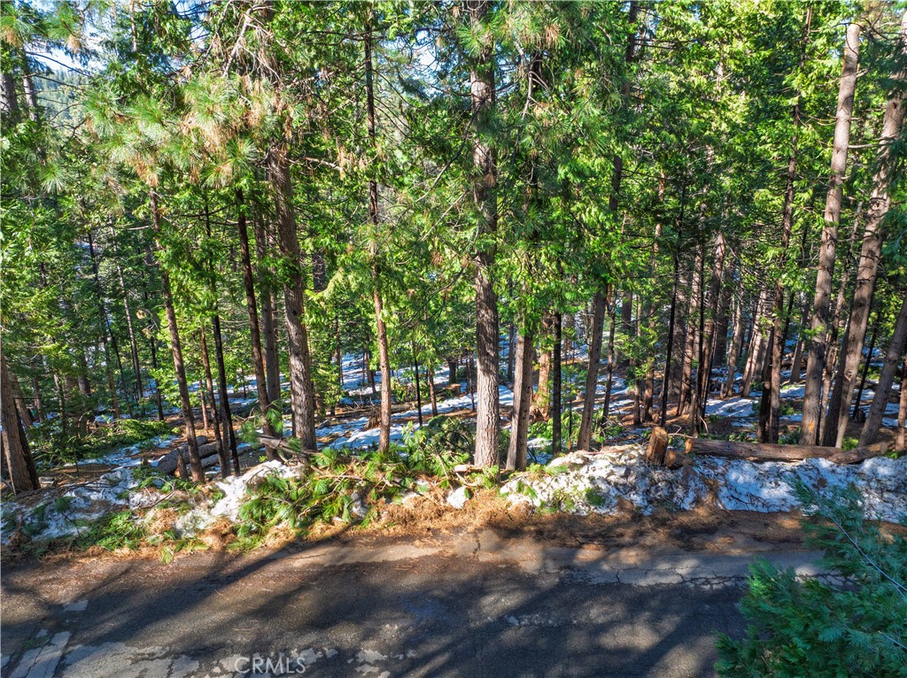 1803 Evergreen