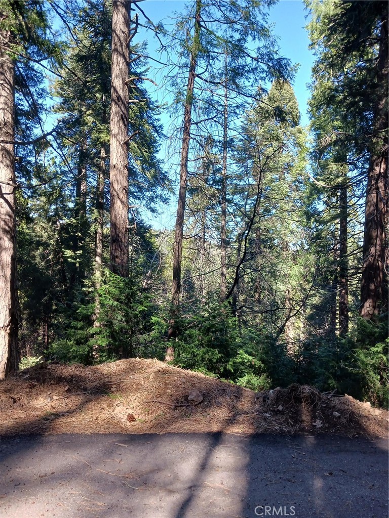 35 Spring Drive