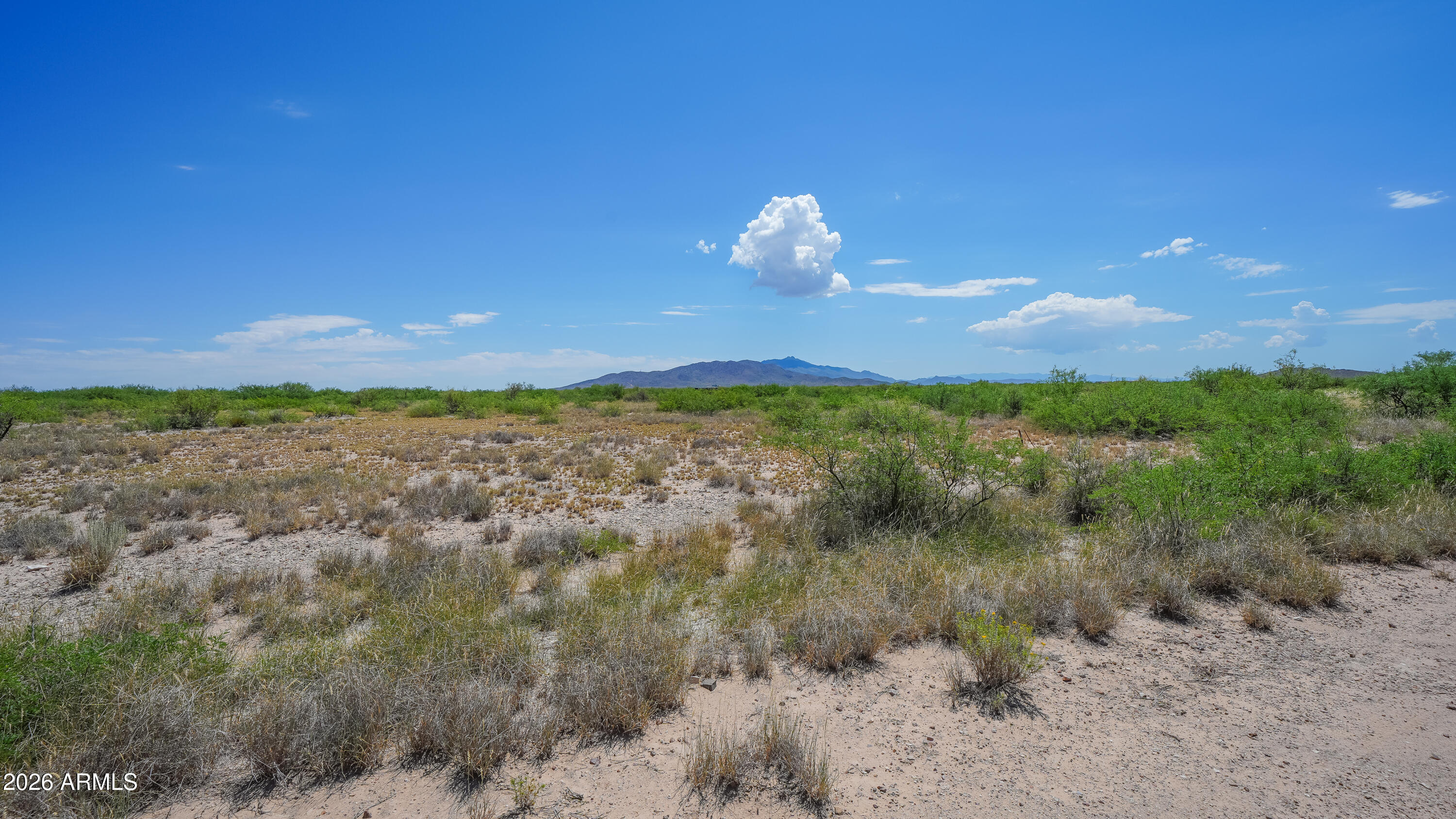 165 N Blue Jay Road 165, Willcox, AZ 85643