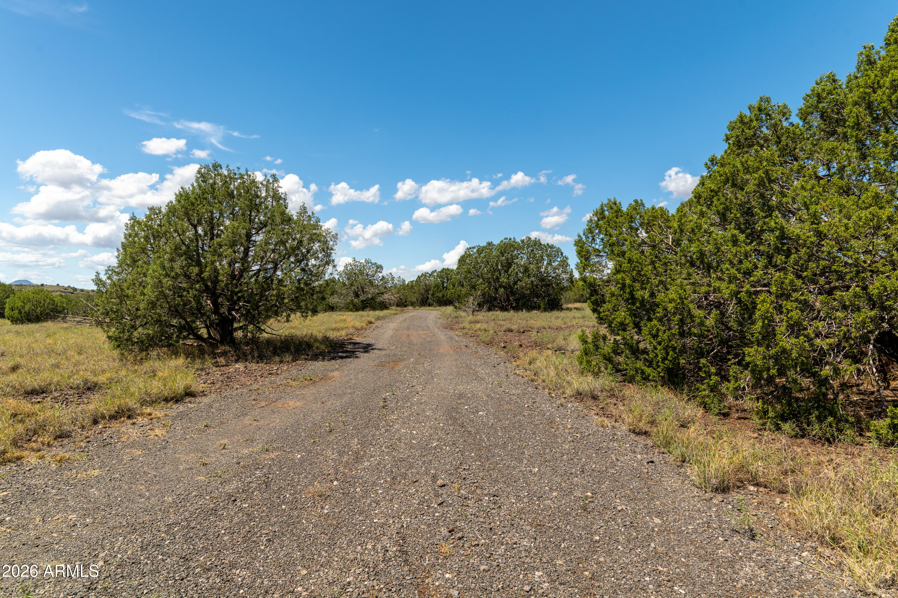2945 MURIEL Drive, Williams, AZ 86046