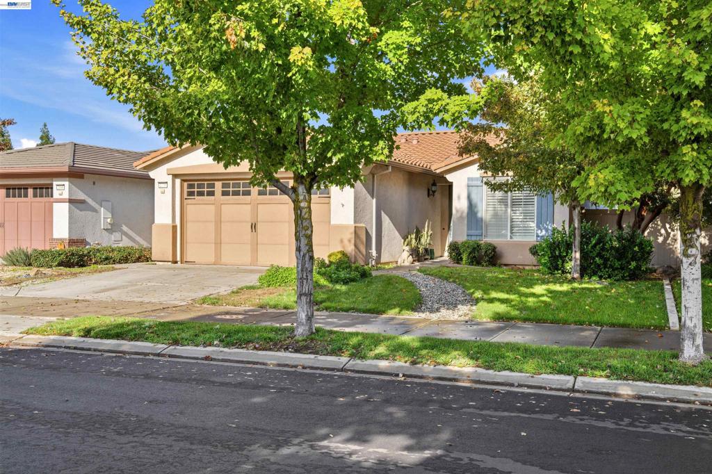 2336 Shadow Berry Dr