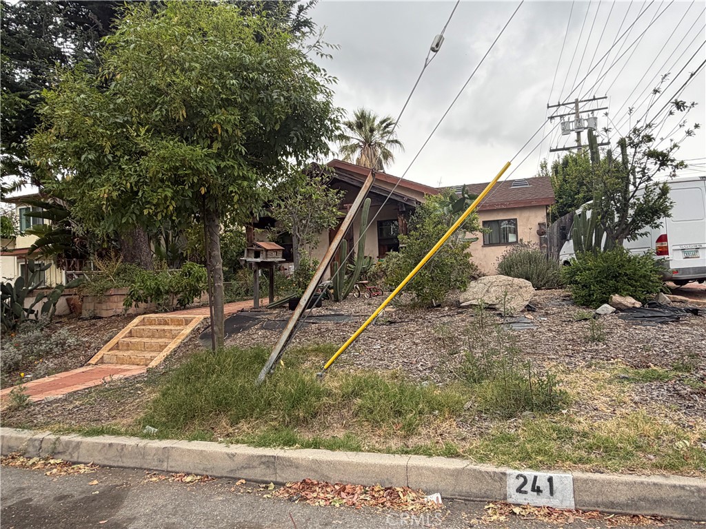 241 Thompson