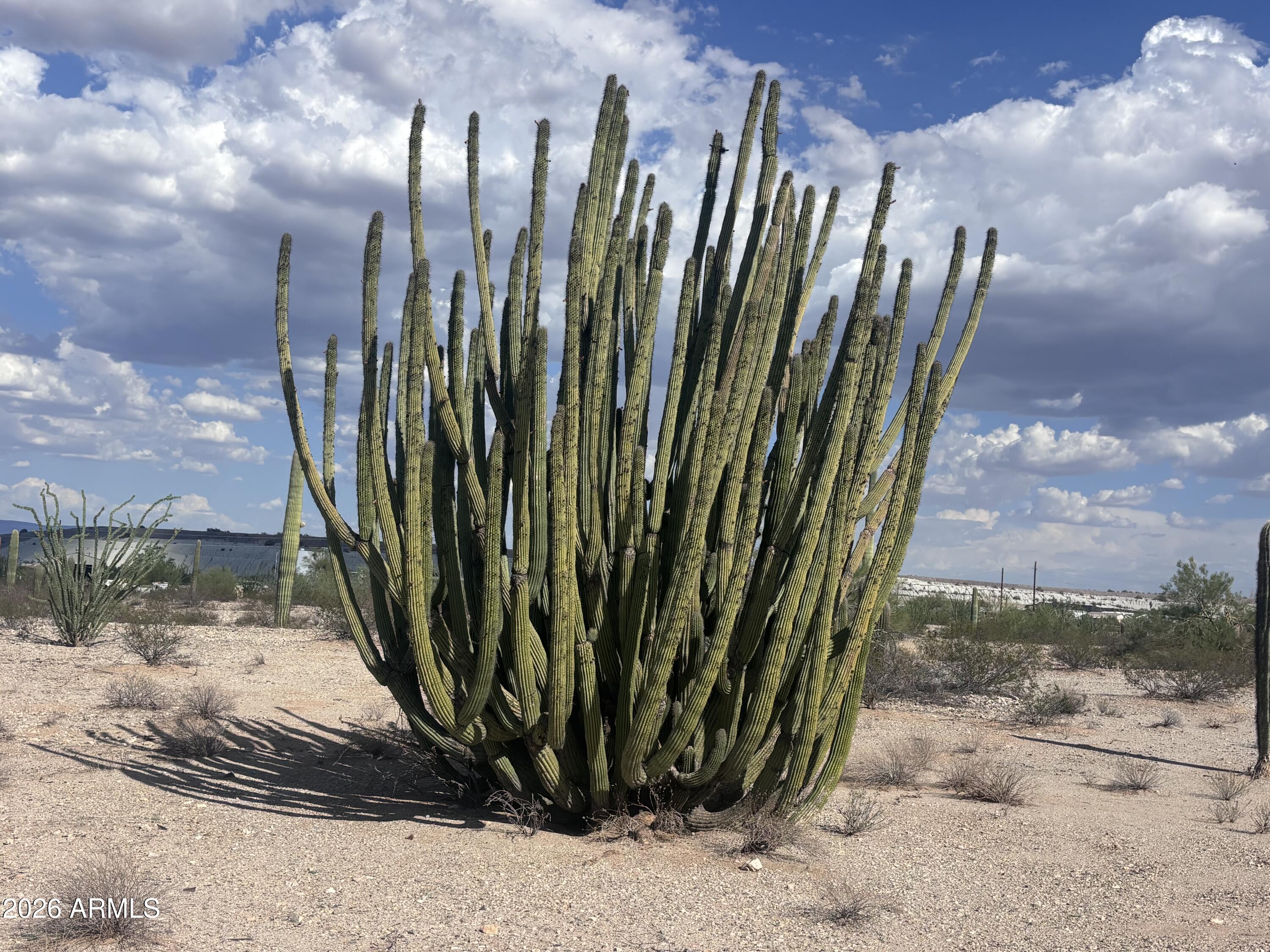 810 W RASMUSSEN Road '-', Ajo, AZ 85321