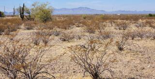 0 N 300th Avenue 145, Wittmann, AZ 85361