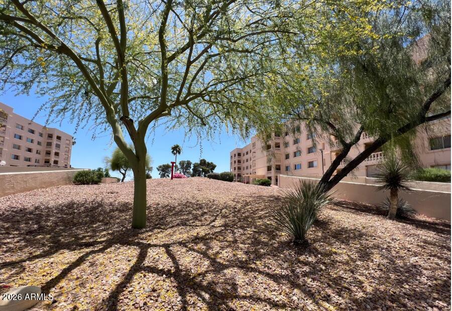 7910 E CAMELBACK Road 110, Scottsdale, AZ 85251