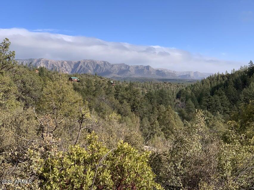1375 W MUNSEE Drive 28, Payson, AZ 85541