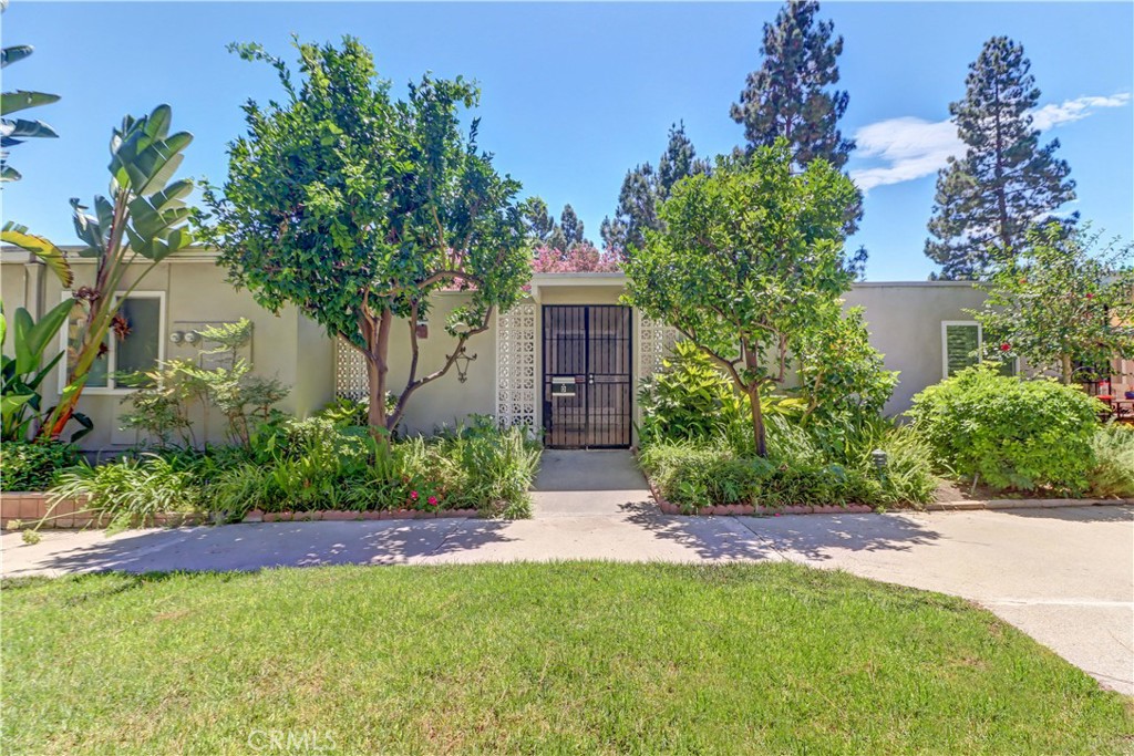 310 Avenida Castilla D