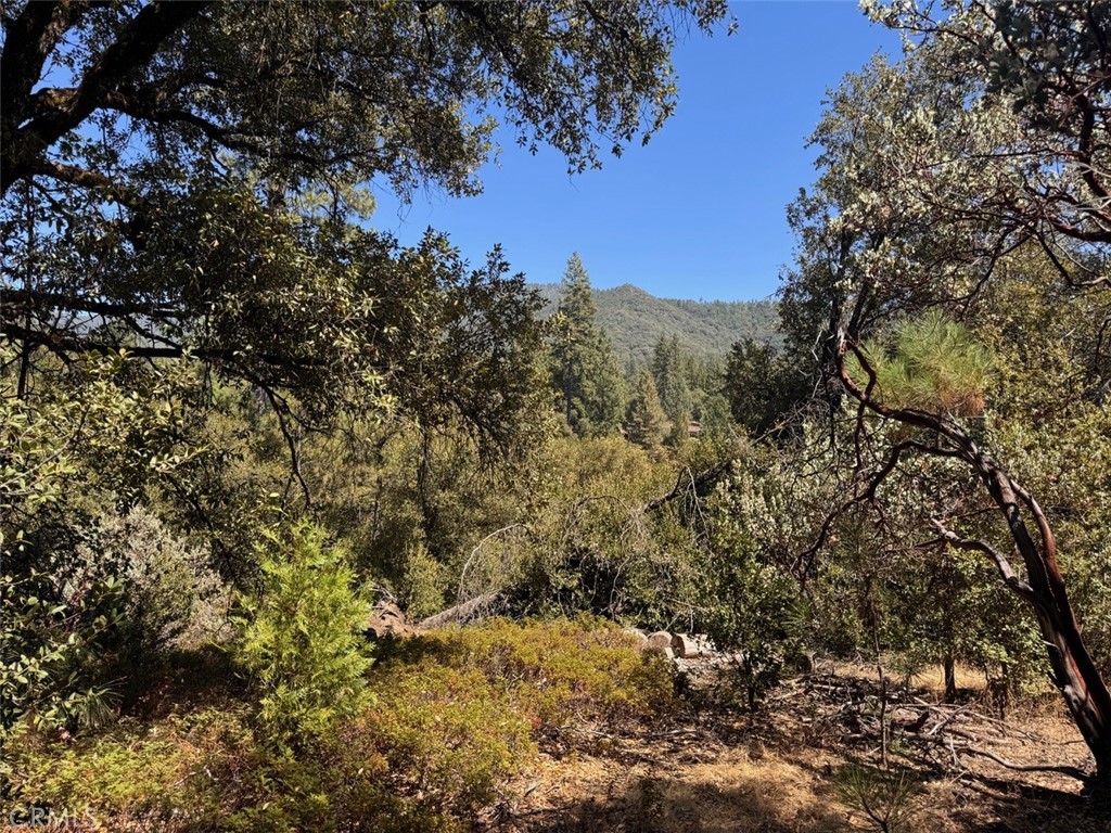 5605 Red Ibis Court