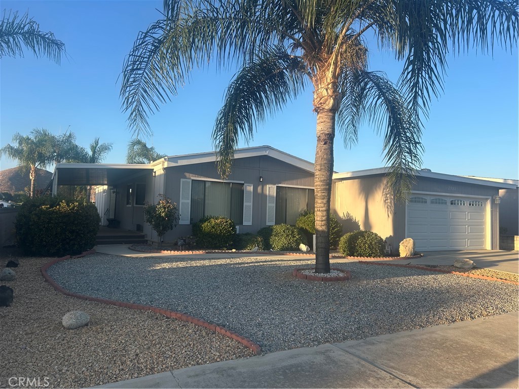 2981 Blue Spruce
