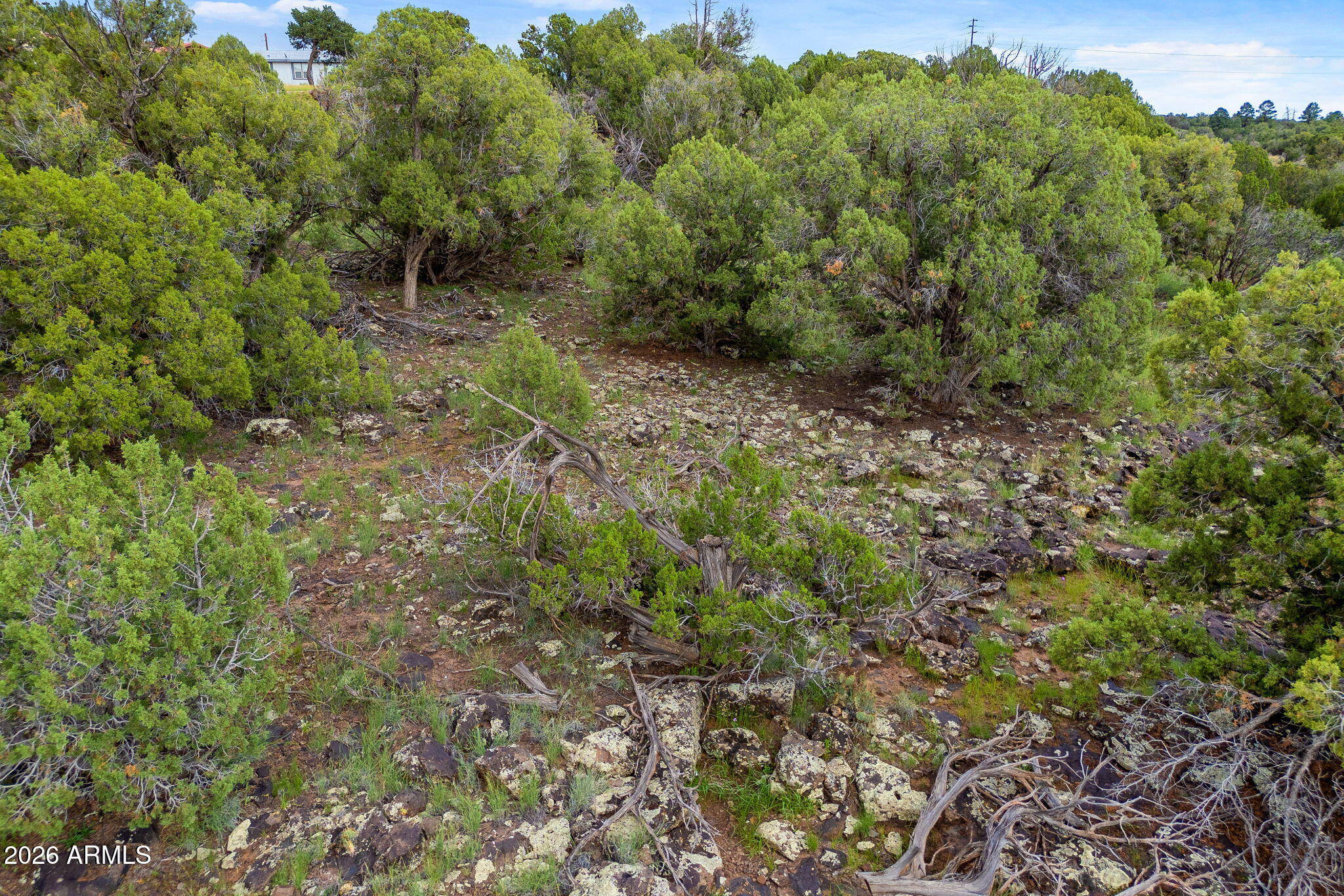 8281 &8283 RIDGE Drive 11, Show Low, AZ 85901