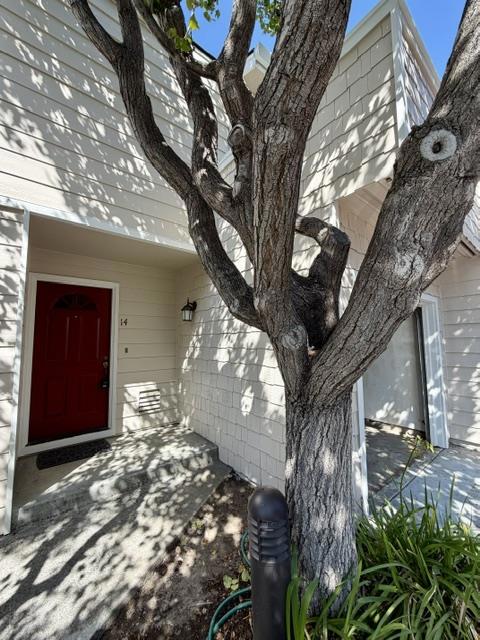173 Sierra Vista Avenue 14