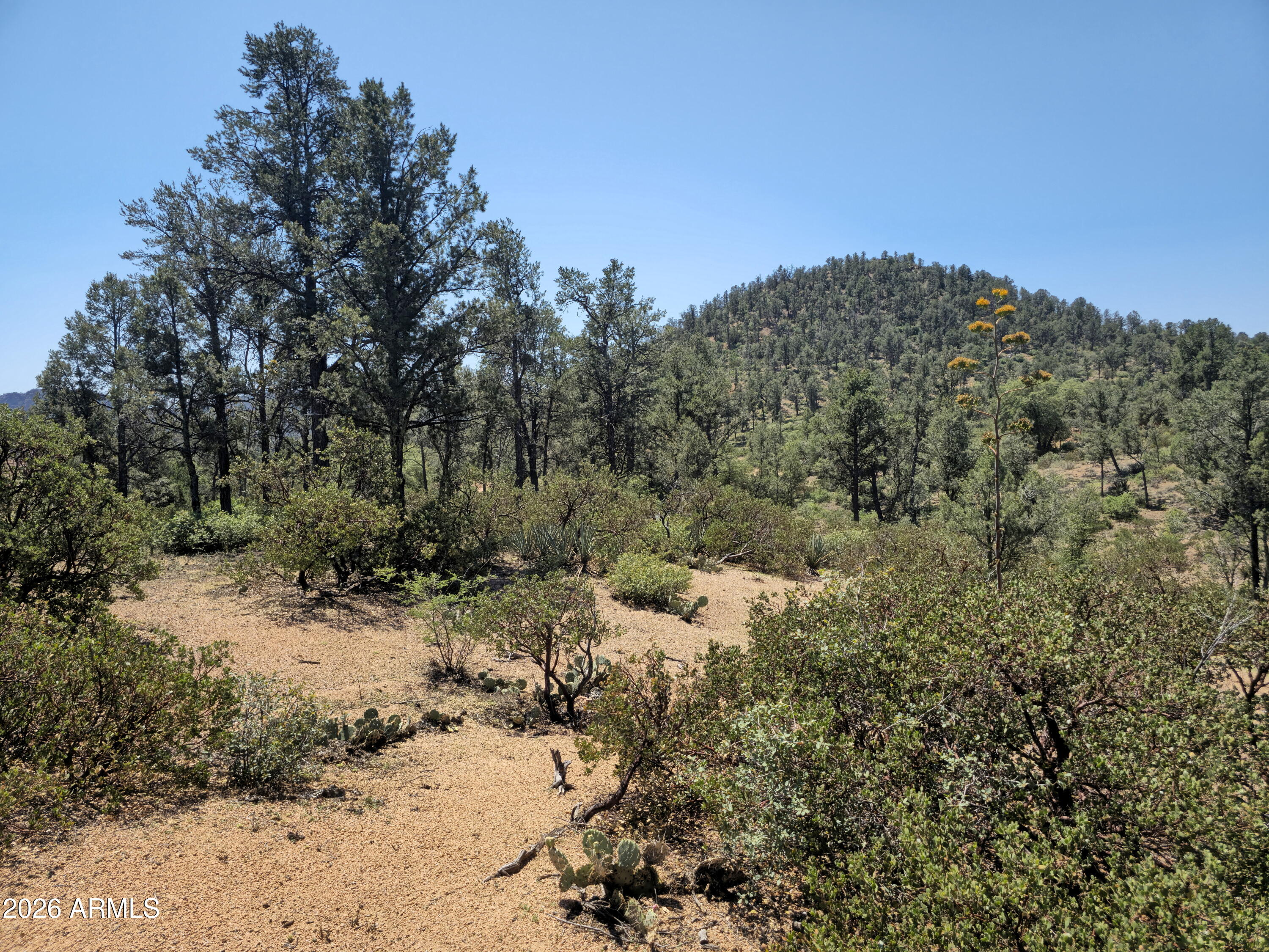 2400 E Rim Club Drive 105, Payson, AZ 85541