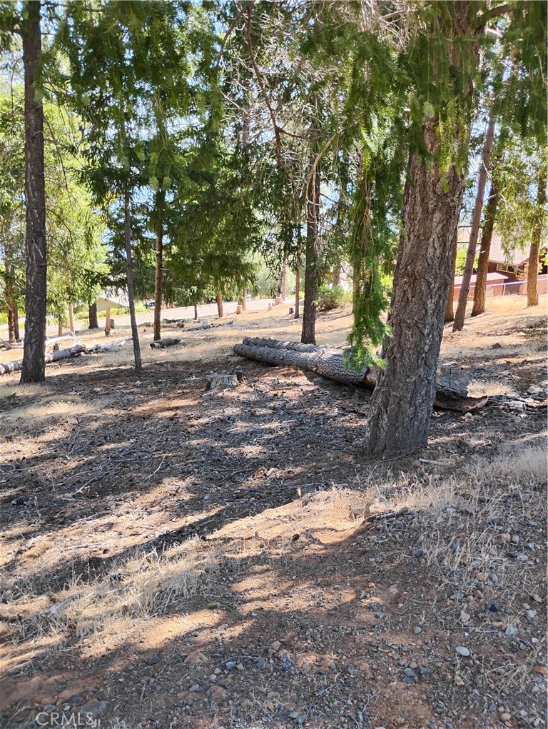 3556 Meadow Wood