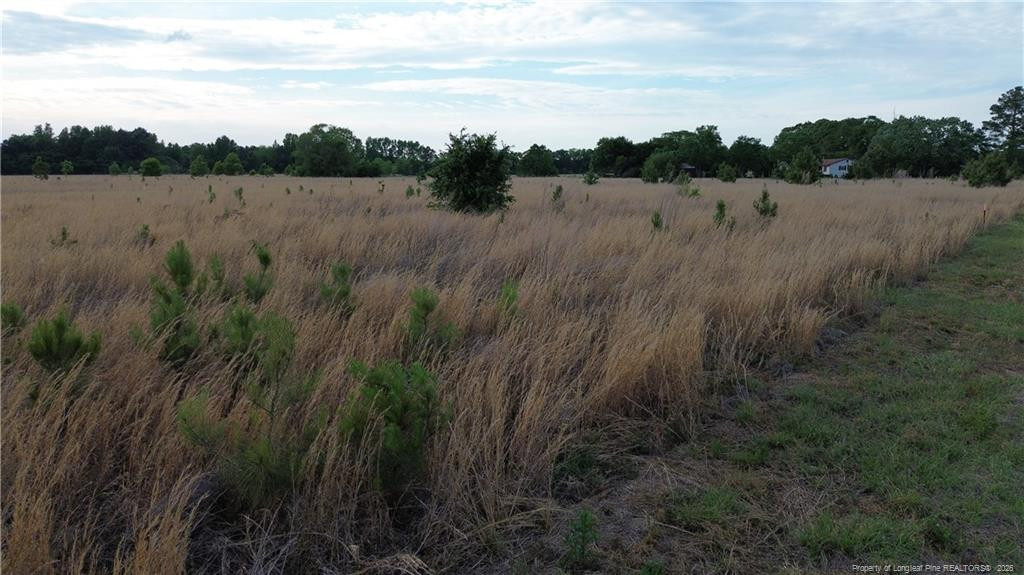 Lot 5 Fairley Road, Maxton, NC 28364