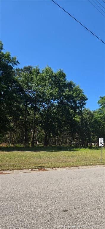 4028 S Main St & Edwin Deaver Street, Hope Mills, NC 28348