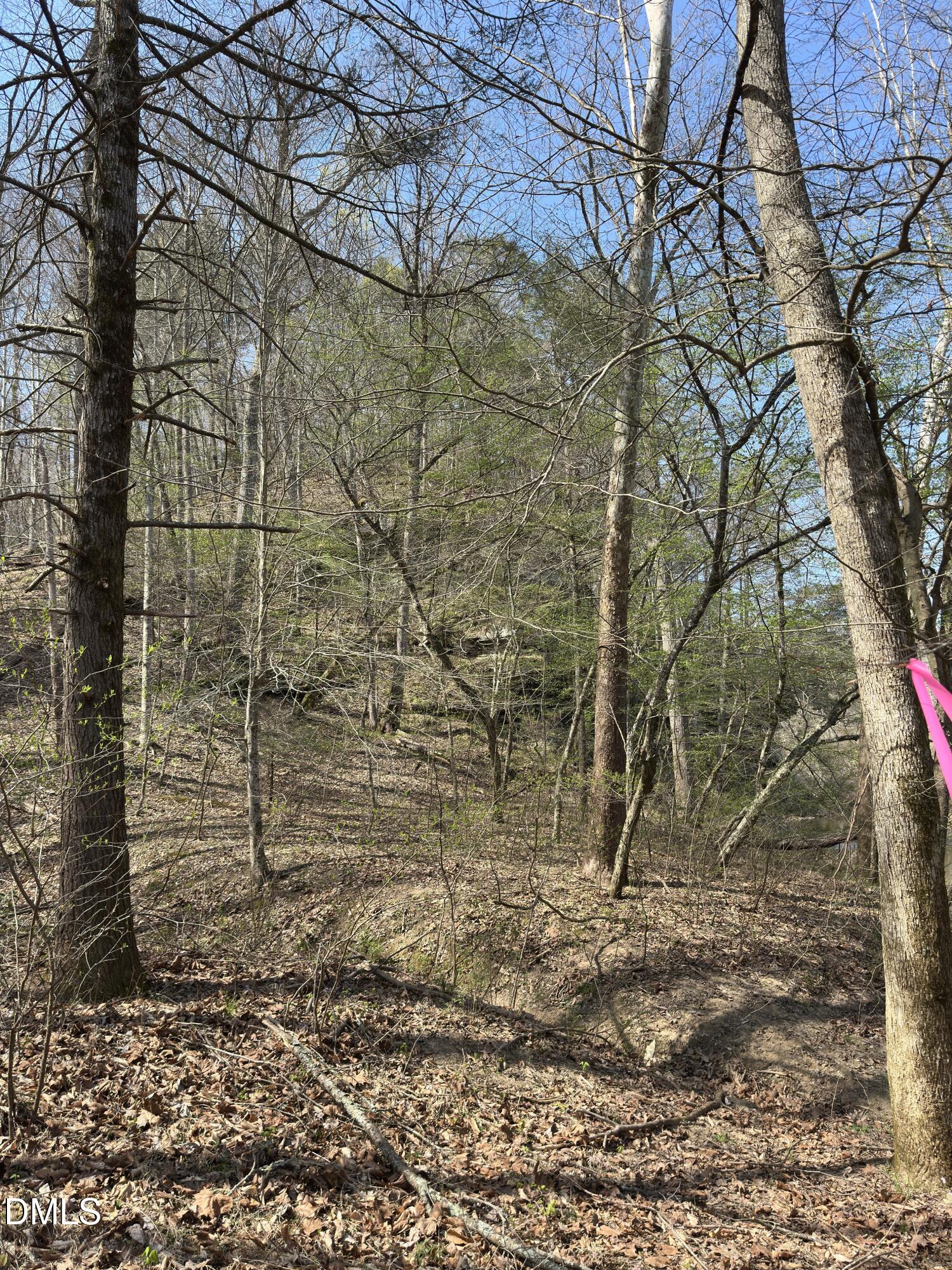 00 Seven Island Road, Danbury, NC 27016