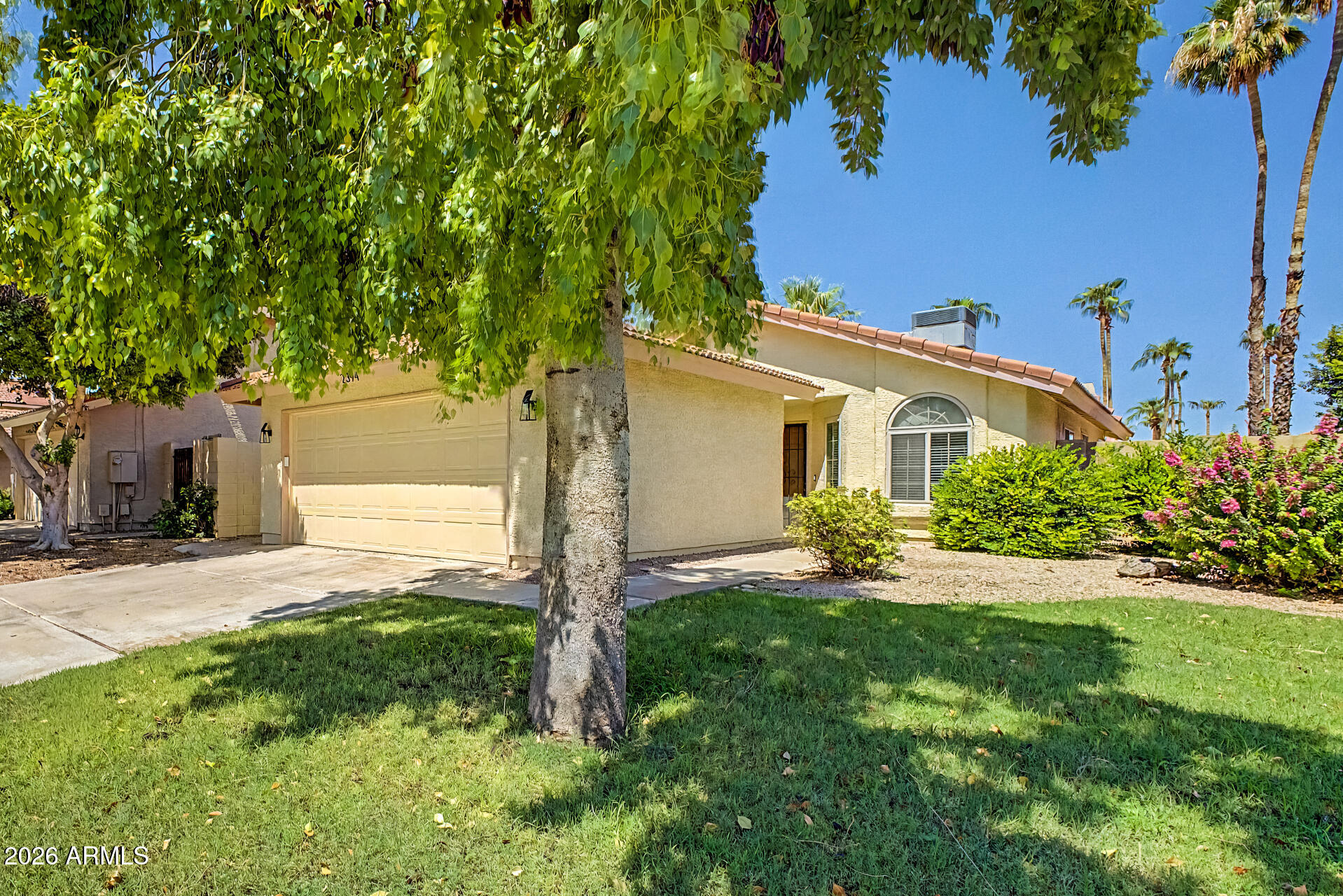 2394 W PARK Avenue, Chandler, AZ 85224