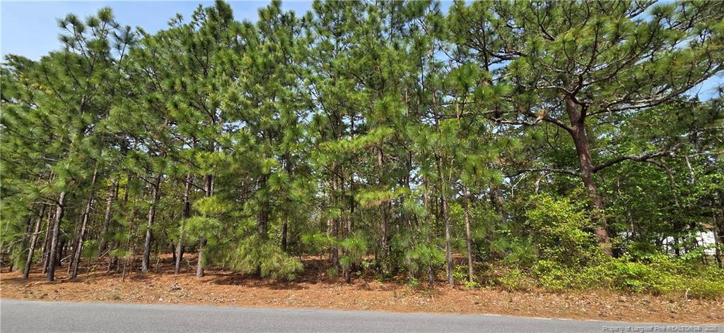 624 Cressida Drive, Fayetteville, NC 28311