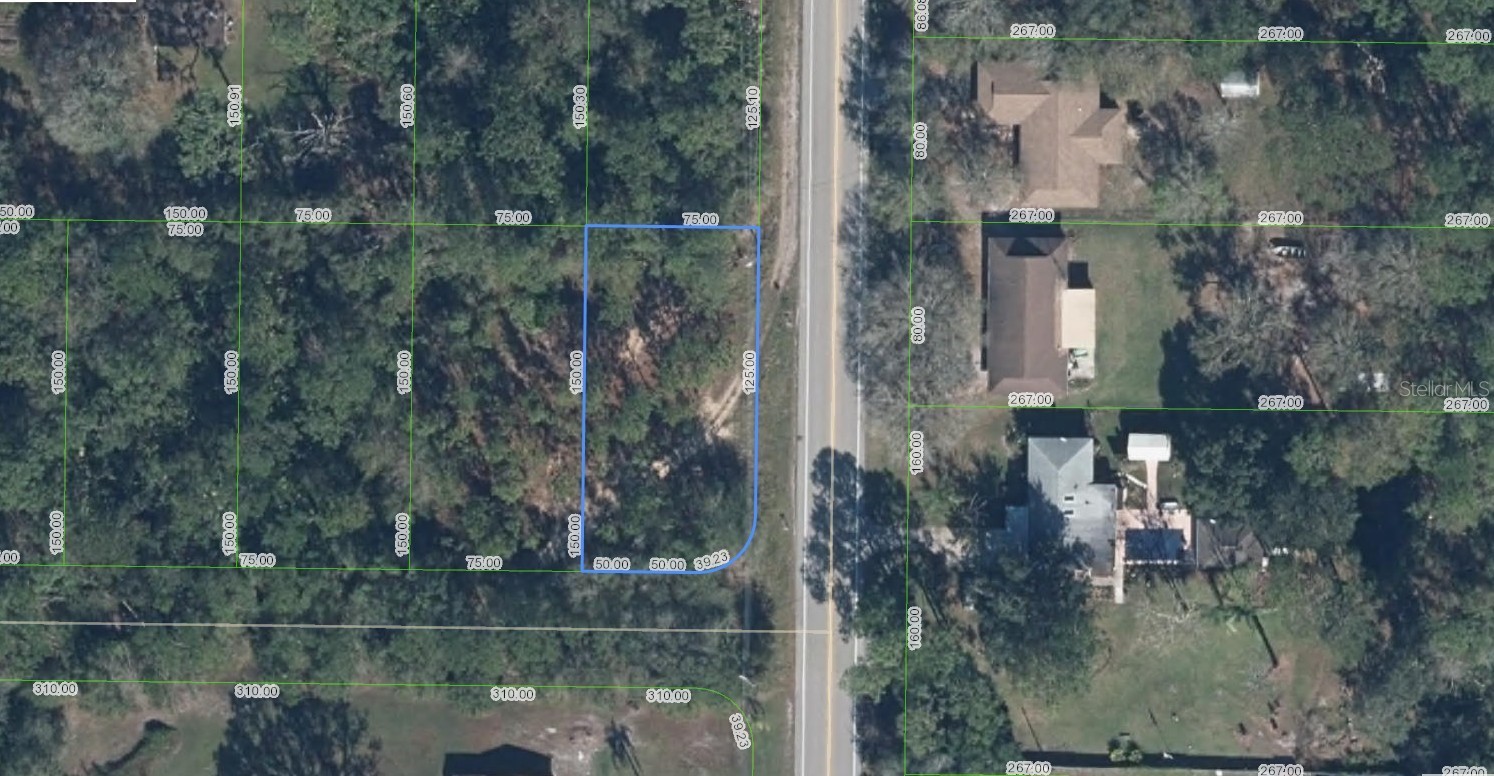 1702 DAFFODIL AVENUE