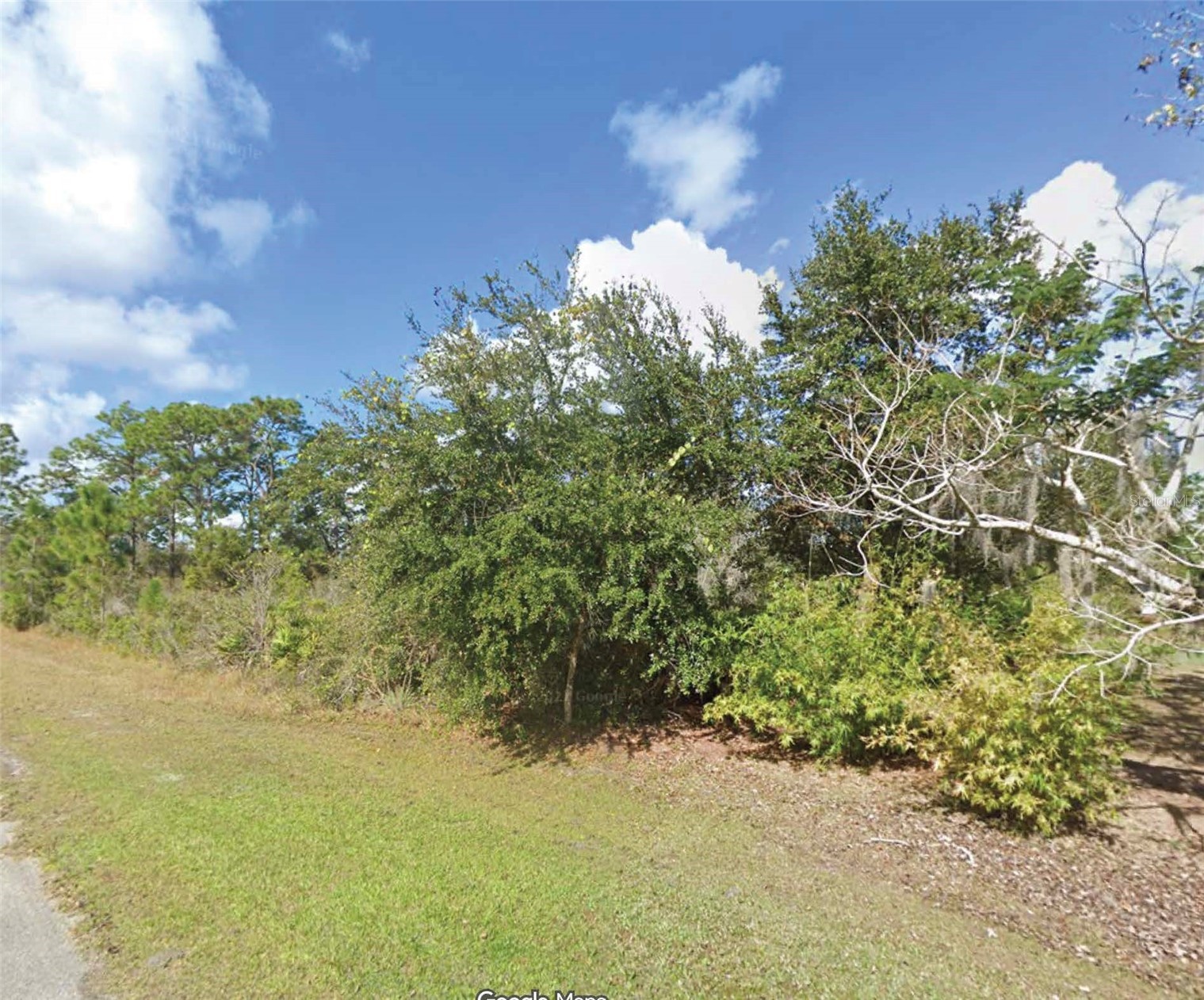10 CAMELLIA DRIVE