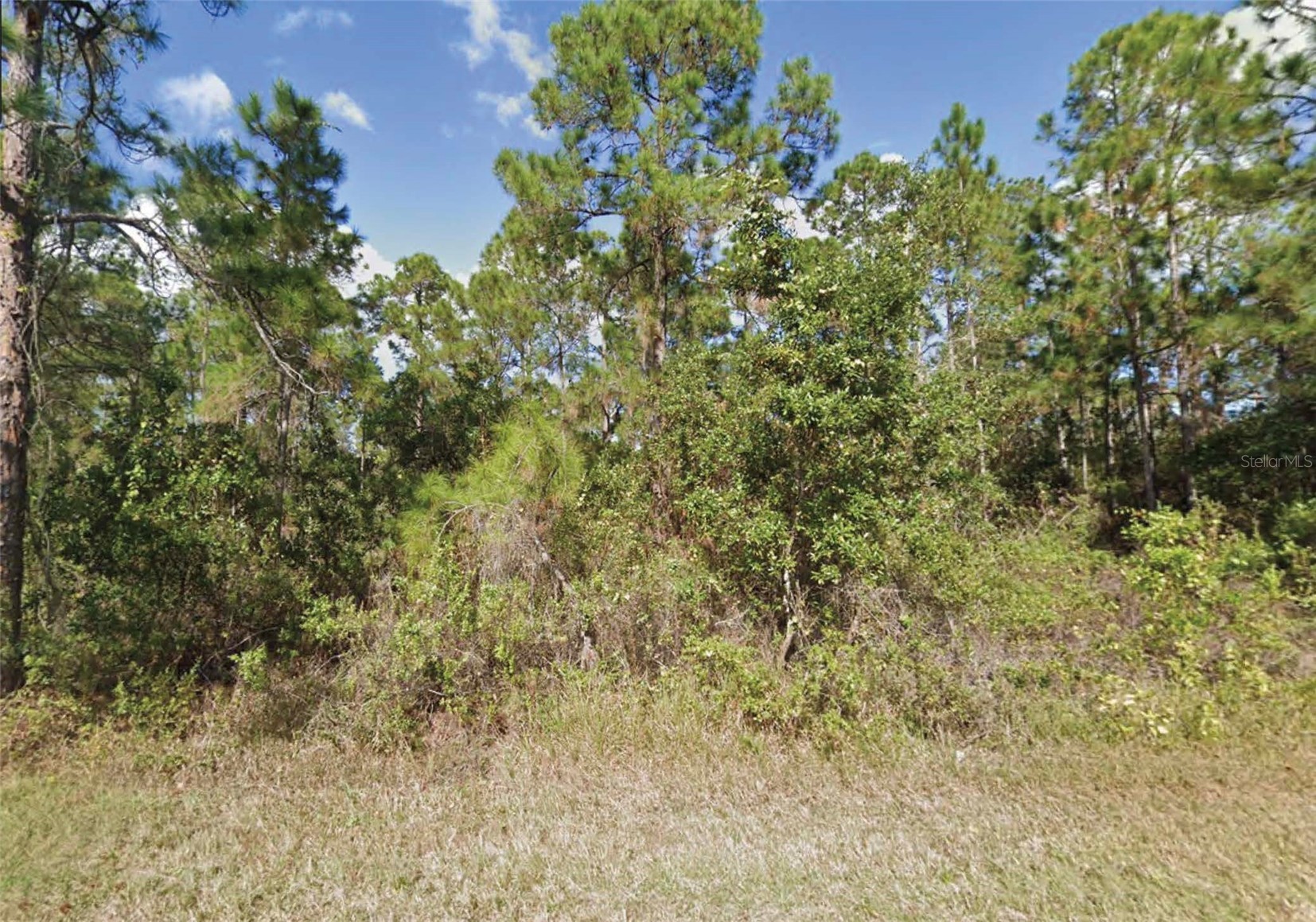 203 GARDENIA DRIVE