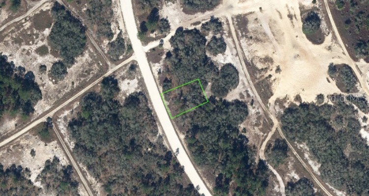 323 WILDWOOD DRIVE