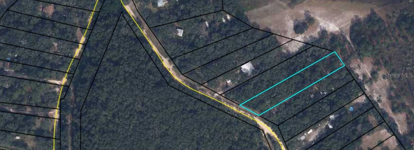 7033 GATORBONE ROAD