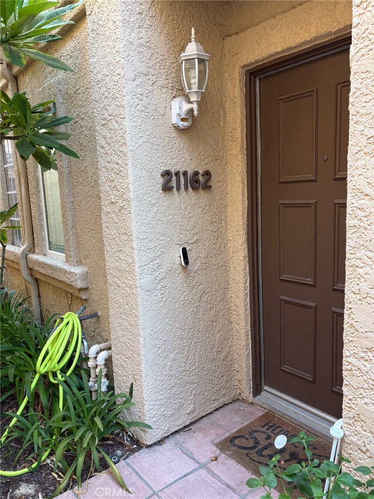 21162 Gladiolos