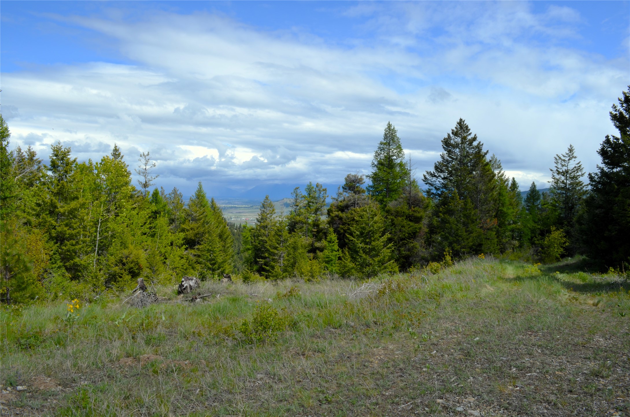 NHN Bugler Trail