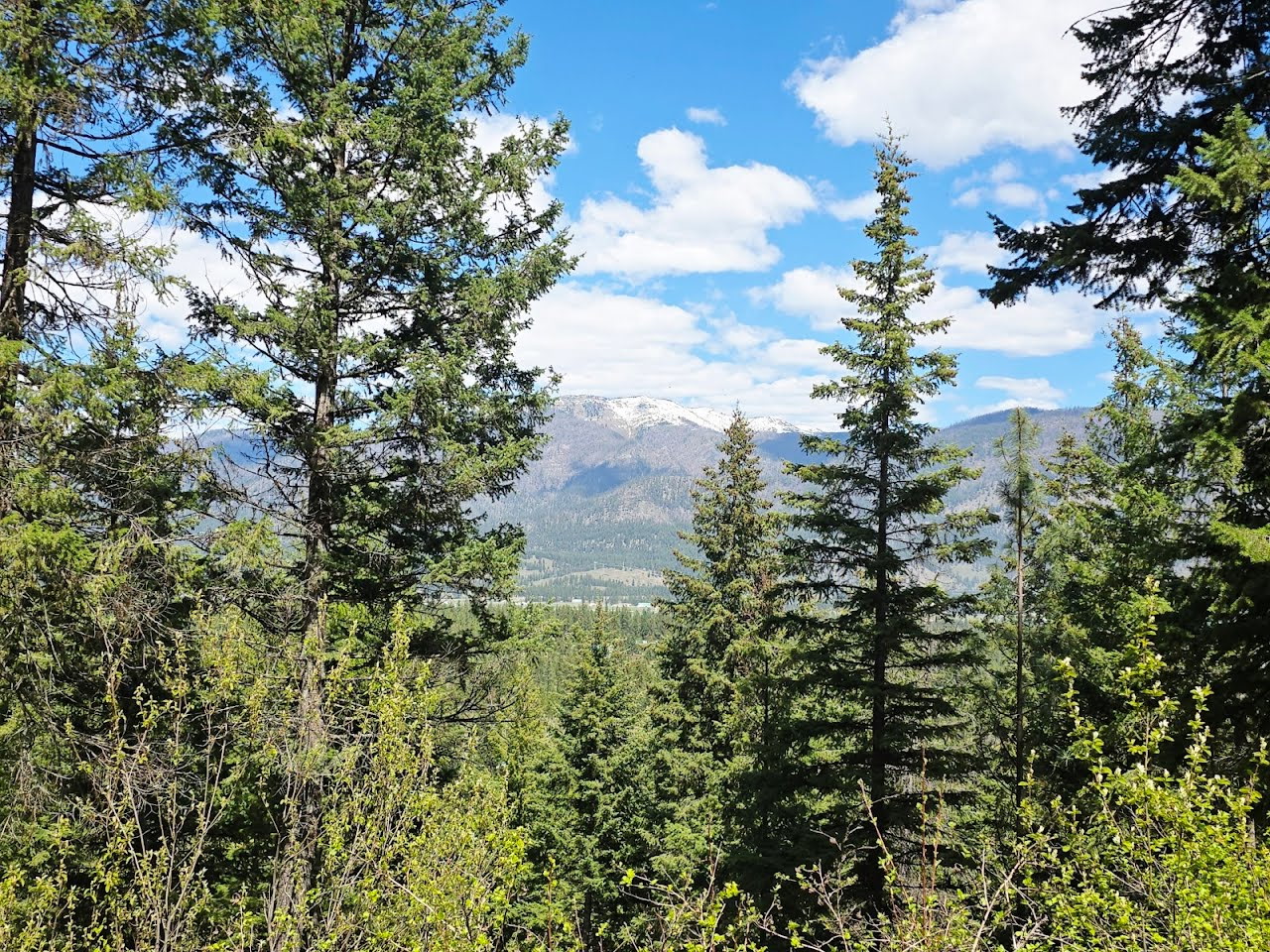 93 Wapiti Point Road