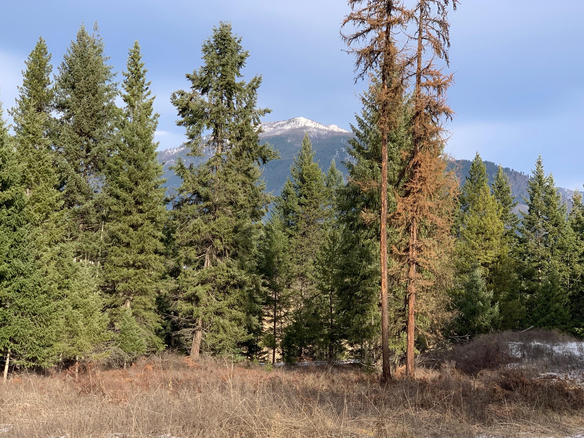 Nhn MT Hwy 200