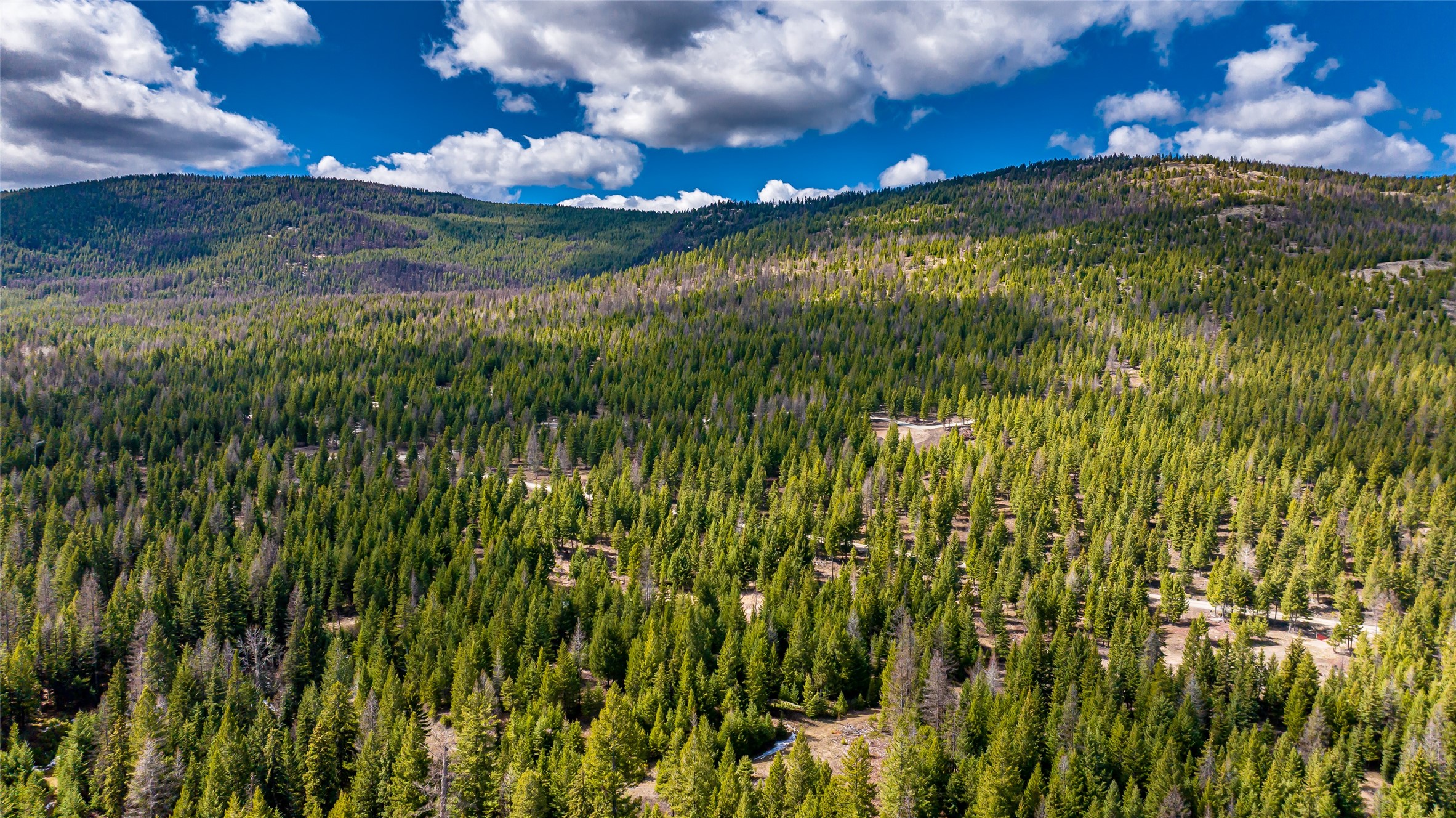 1583 Wild Bill Road Lot 4