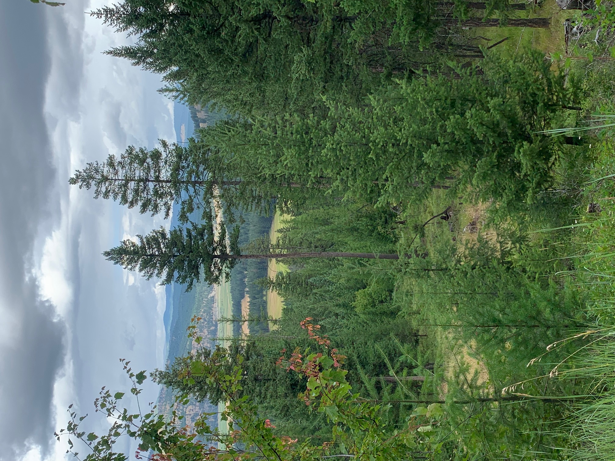 Tract 11 Whitetail Ridge