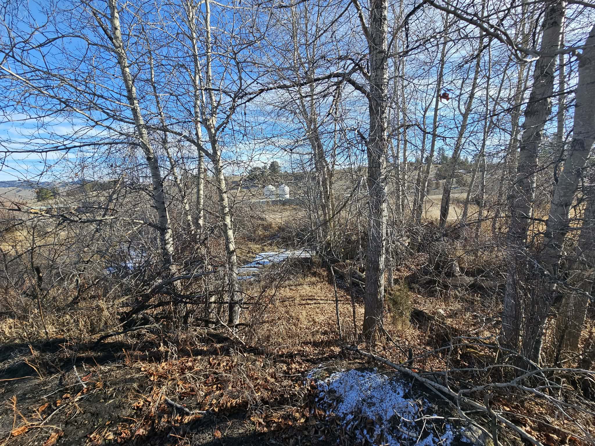 198 Mullan Trail Road