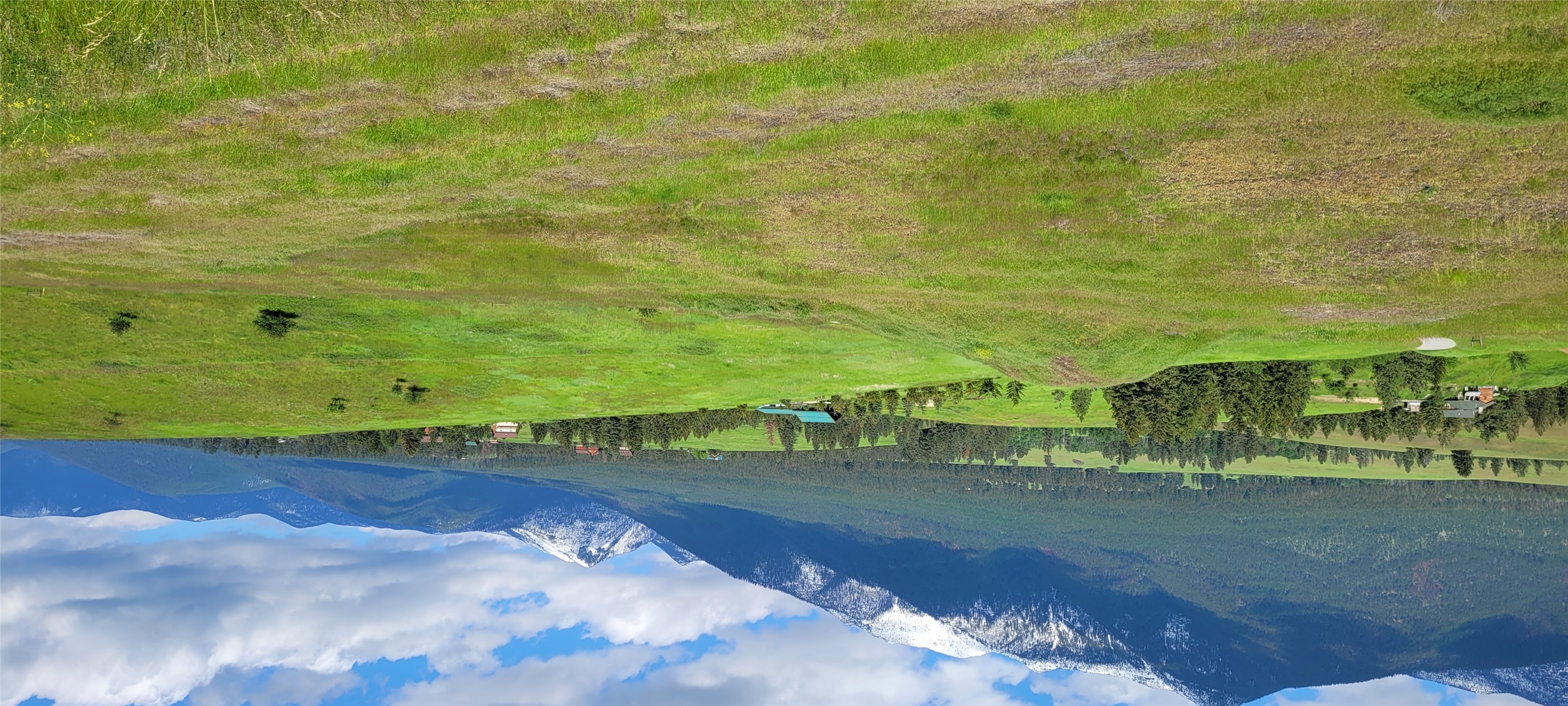89 Grassy Loop