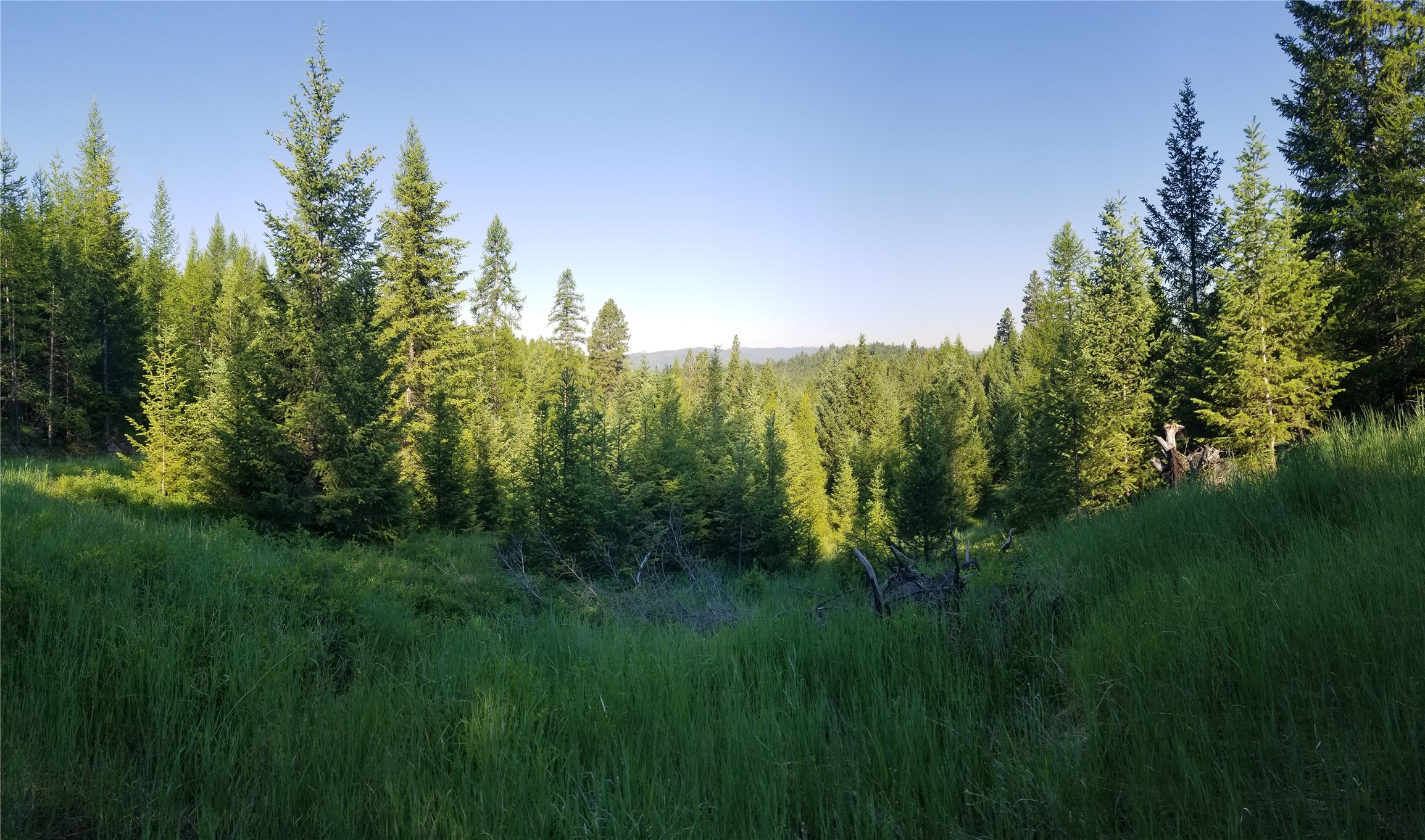 E Half Lot 2A Haywire Gulch