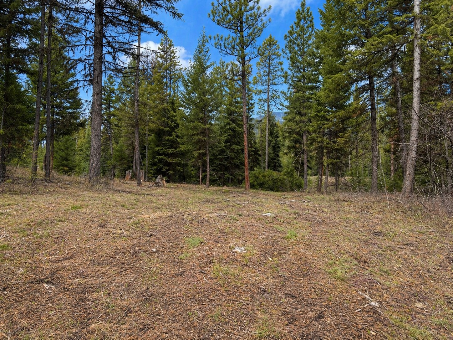 80 Blaney Lane Lot-31
