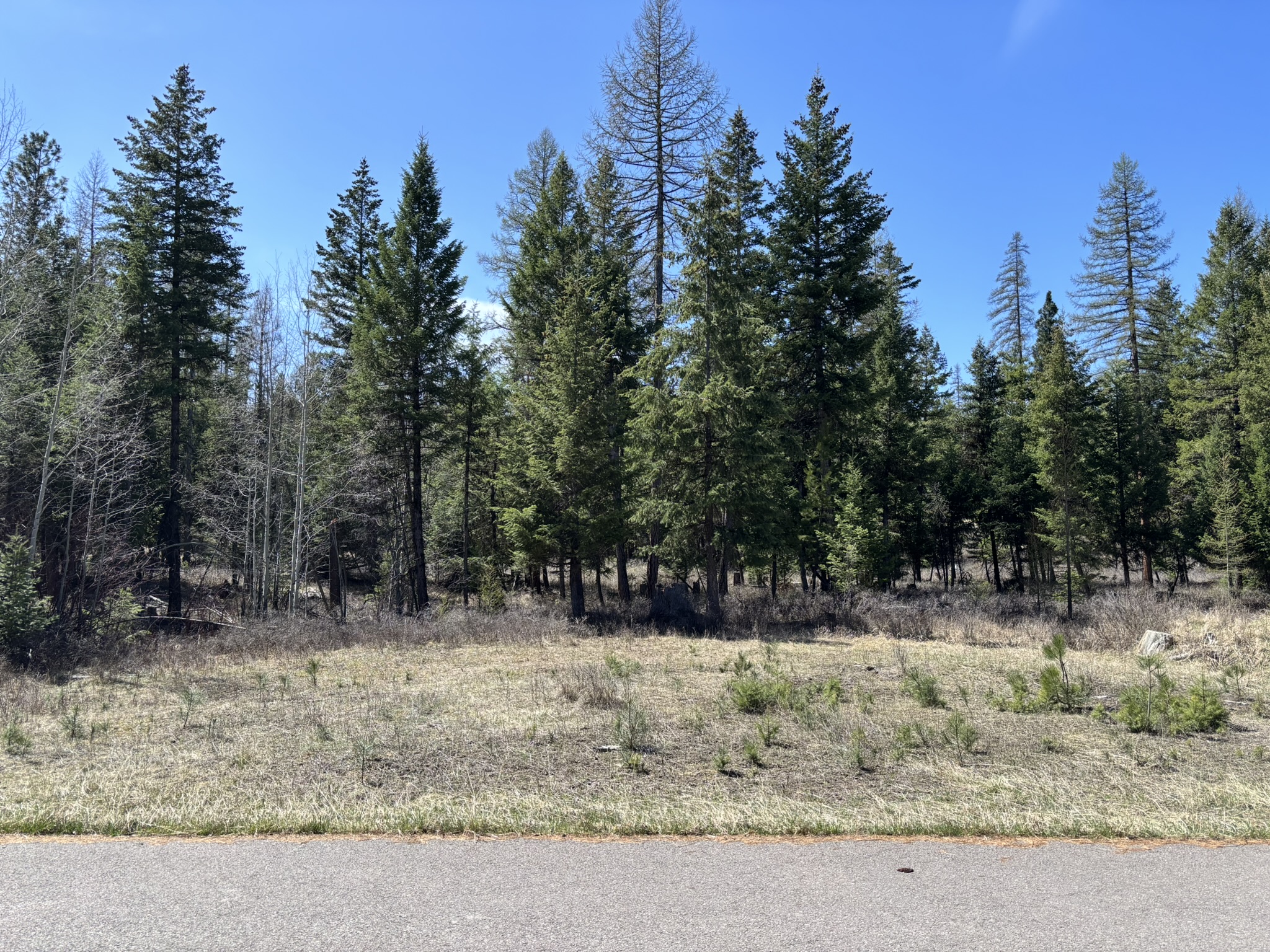 238 Haskill Ranch Road Lot-1