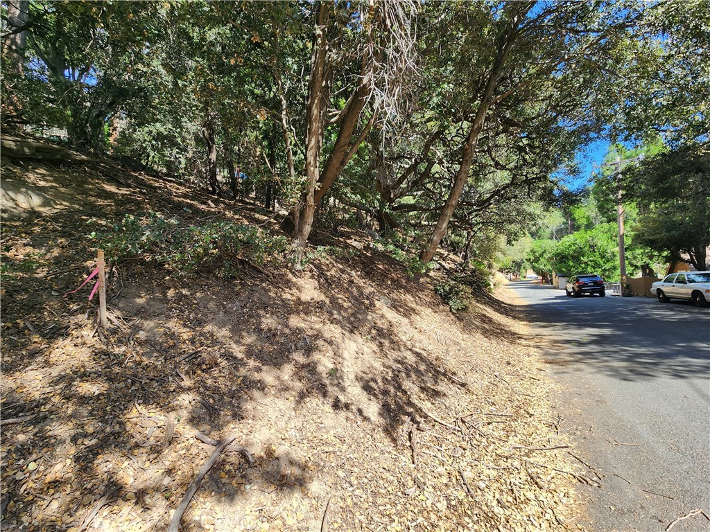 1127 Arbula Drive