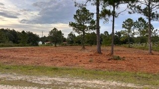 0 (BLK 177 LOT 12) OLEANDER DRIVE