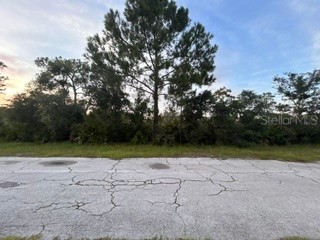818 (BLK 131 LOT 9) BOUGAINVILLE DRIVE