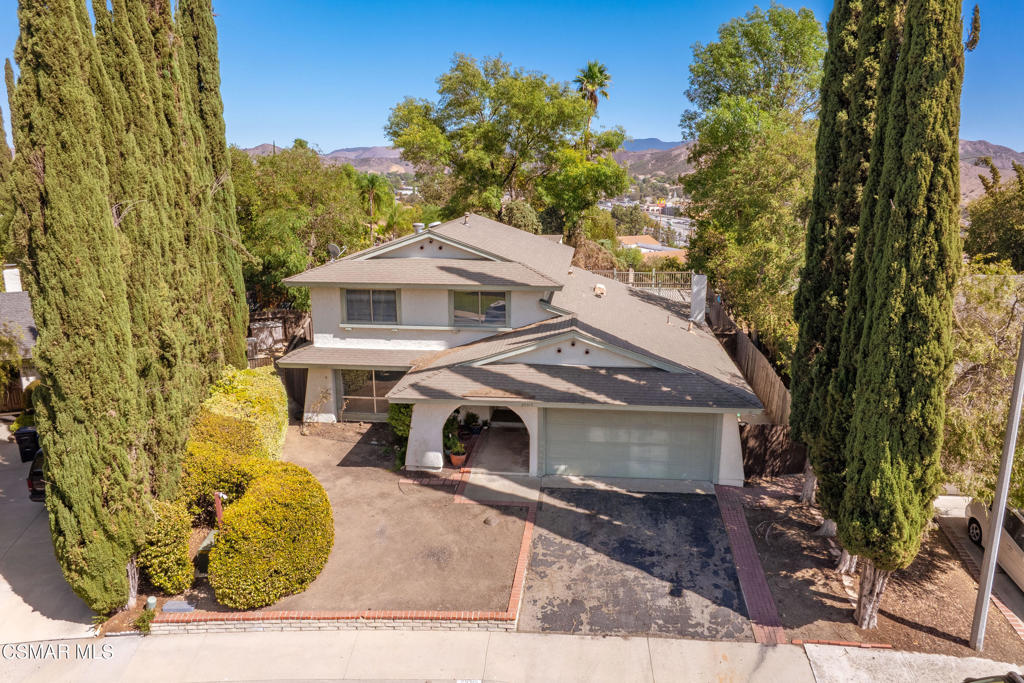 29315 Tree Hollow
