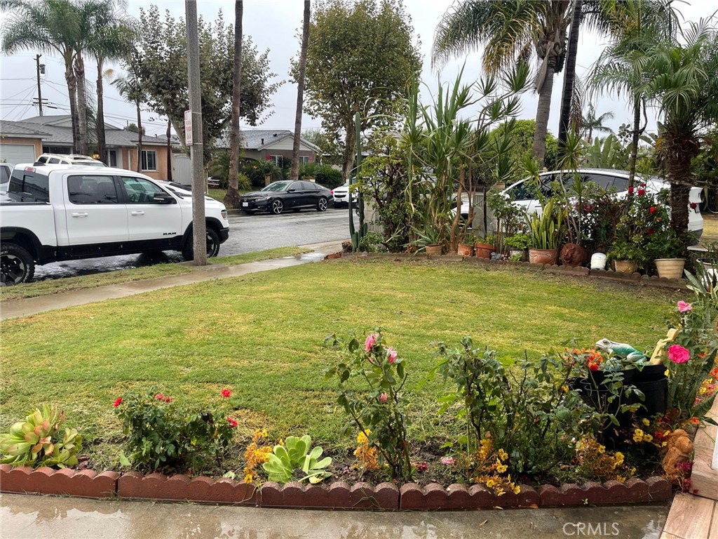 23327 Orchard