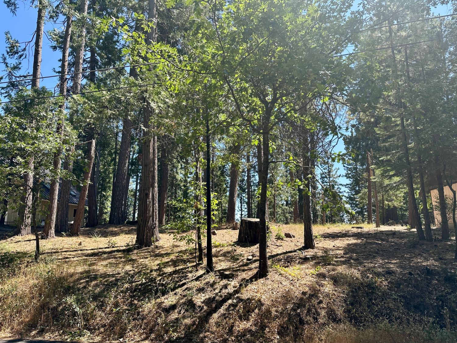 2659 Valley View Dr, Arnold, CA 95223-7234