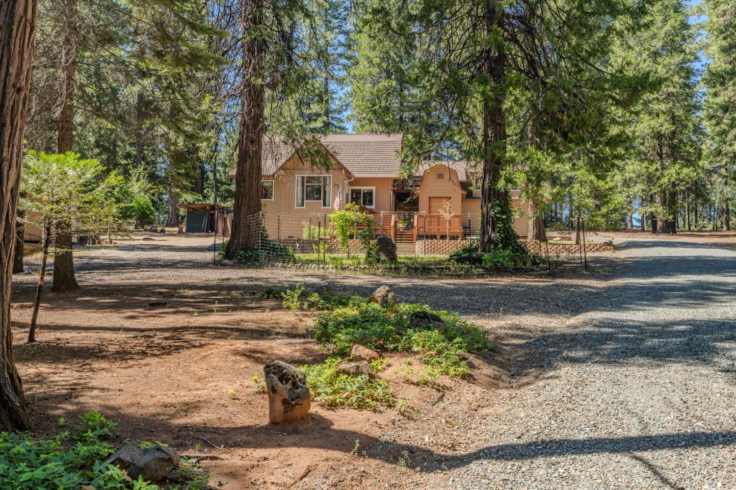 20516 E Pine Dr, Pioneer, CA 95666