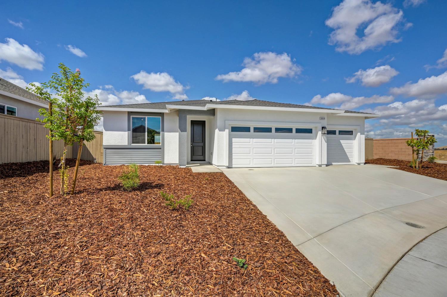 3868 Prairie Blues Ct, Placer One, CA 95747