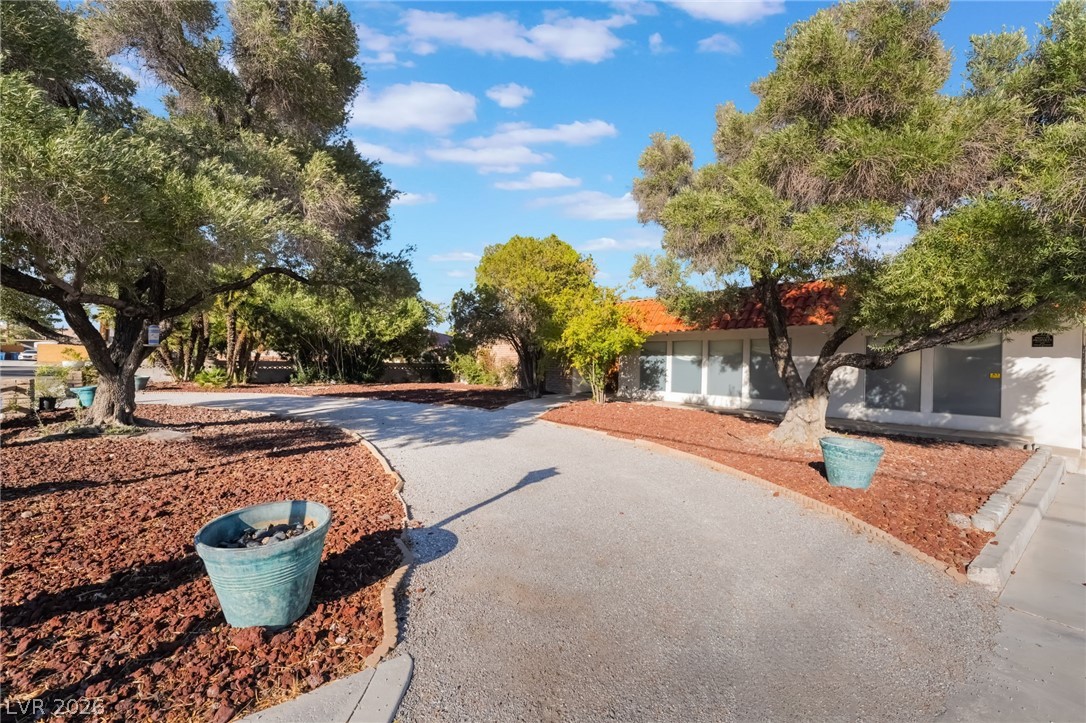 909 Cashman Drive