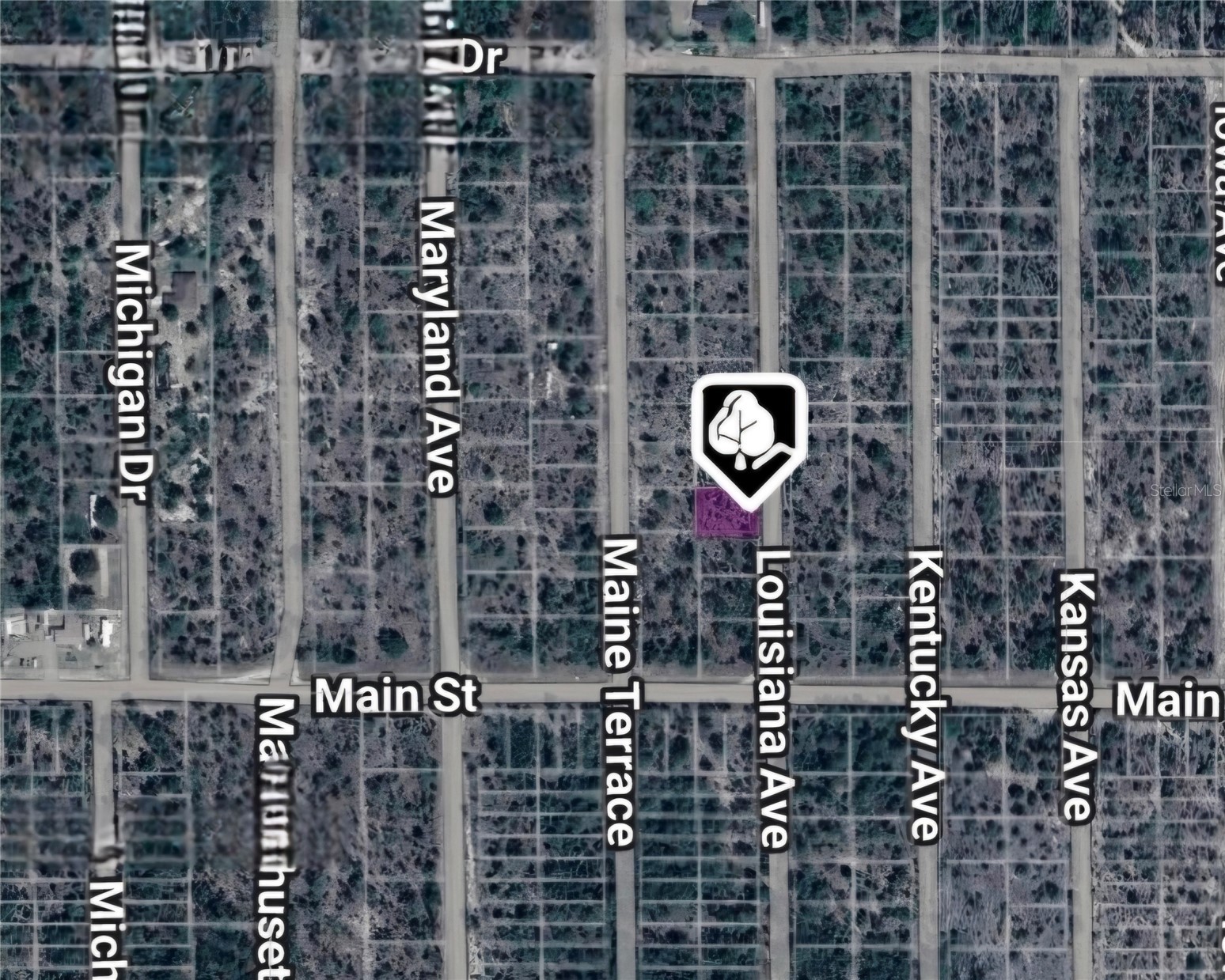 LOT 19 AND 20 LOUISIANA AVENUE