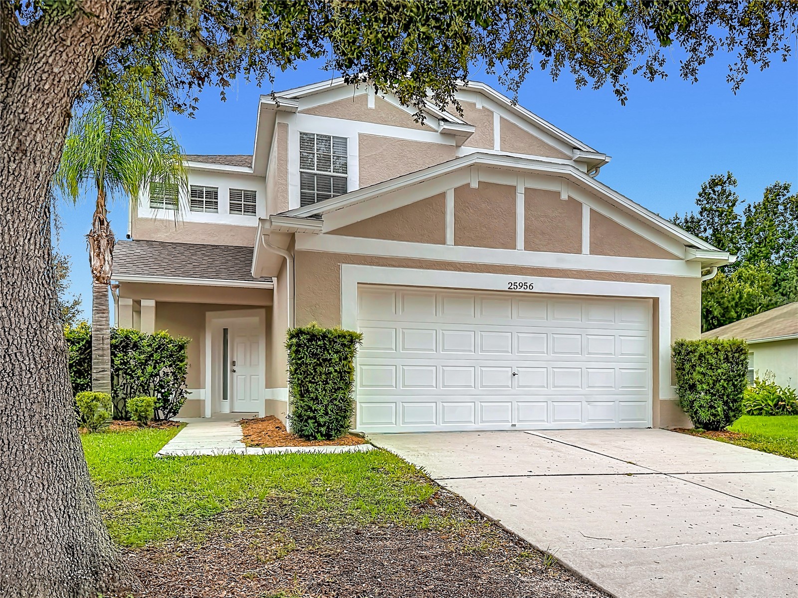 25956 TERRAWOOD LOOP